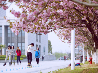 CPU Chinese Language and Culture Program