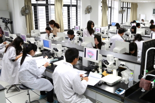 2024 CPU-“Splendid Jiangsu" International Summer School