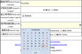 Visa Paper Application Guidance